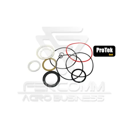 Char-lynn 2000 Engine Repair Kit (D-RING)